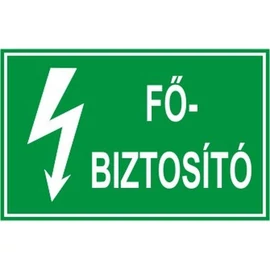 Főbiztosító