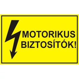 Motorikus biztosítók!